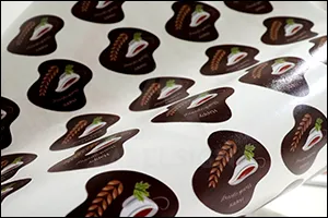 รูป ตัวอย่างการตัดกึ่งขาด