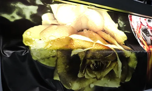 รูปการพิมพ์แบบ color printing หรือการพิมพ์สีแบบธรรมดา