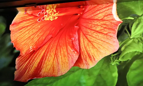 รูปการพิมพ์แบบ color printing หรือการพิมพ์สีแบบธรรมดา