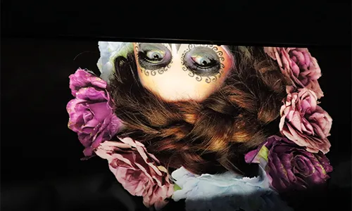 รูปการพิมพ์แบบ color printing หรือการพิมพ์สีแบบธรรมดา