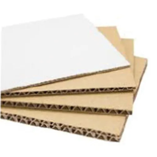 รูป สาธิตการพิมพ์ยูวีลงกระดาษลูกฟูก