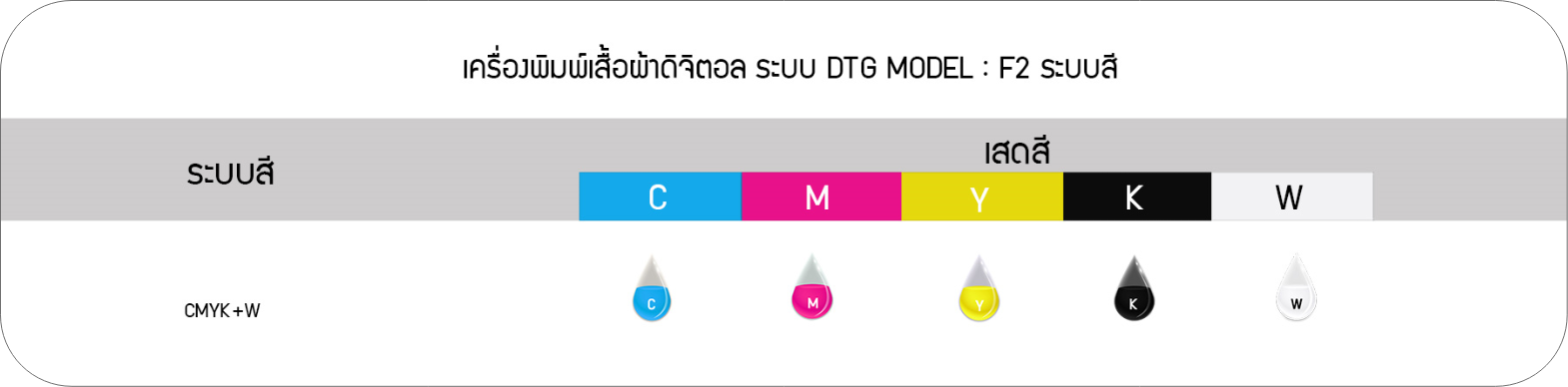 ระบบสี ของเครื่องพิมพ์เสื้อผ้าดิจิตอล ระบบ DTG MODEL : F2